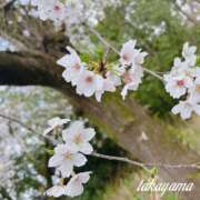 ヒメ日記 2026/03/29 17:02 投稿 高山 ANECOTE