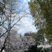 ヒメ日記 2026/04/05 21:31 投稿 高山 ANECOTE