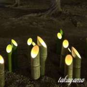 ヒメ日記 2026/04/06 18:03 投稿 高山 ANECOTE