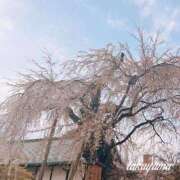 高山 汗が止まらない ANECOTE