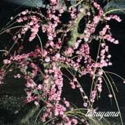 高山 汗かいて･･･ ANECOTE