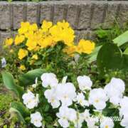 ヒメ日記 2026/04/27 21:32 投稿 高山 ANECOTE
