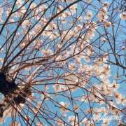ヒメ日記 2026/05/01 19:04 投稿 高山 ANECOTE