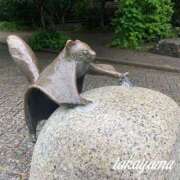 ヒメ日記 2026/05/02 21:04 投稿 高山 ANECOTE