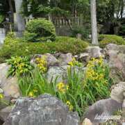 ヒメ日記 2026/05/25 22:38 投稿 高山 ANECOTE