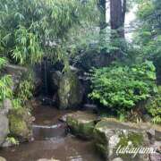 ヒメ日記 2026/06/26 21:03 投稿 高山 ANECOTE