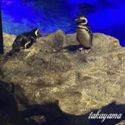 ヒメ日記 2026/07/11 22:17 投稿 高山 ANECOTE