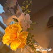 ヒメ日記 2026/07/12 17:02 投稿 高山 ANECOTE