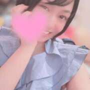 ヒメ日記 2026/07/16 06:45 投稿 高山 ANECOTE
