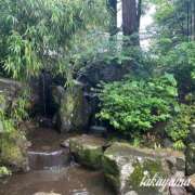 ヒメ日記 2026/07/16 22:04 投稿 高山 ANECOTE