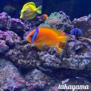 ヒメ日記 2026/08/10 22:31 投稿 高山 ANECOTE
