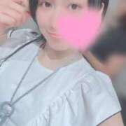 ヒメ日記 2026/08/26 06:45 投稿 高山 ANECOTE