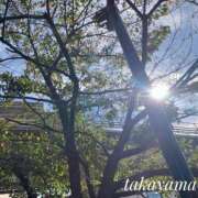 ヒメ日記 2026/10/11 21:04 投稿 高山 ANECOTE