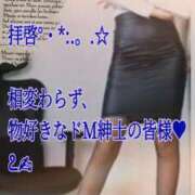 ヒメ日記 2026/03/11 19:02 投稿 愛沢　あいざわ 本庄人妻城