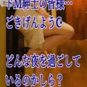 ヒメ日記 2026/04/20 23:03 投稿 愛沢　あいざわ 本庄人妻城