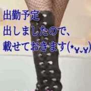 ヒメ日記 2026/04/29 21:53 投稿 愛沢　あいざわ 本庄人妻城