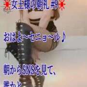 ヒメ日記 2026/07/20 06:00 投稿 愛沢　あいざわ 本庄人妻城