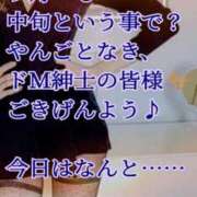 ヒメ日記 2026/09/12 08:45 投稿 愛沢　あいざわ 本庄人妻城