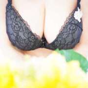 ヒメ日記 2025/08/07 10:01 投稿 君島　きみじま 本庄人妻城