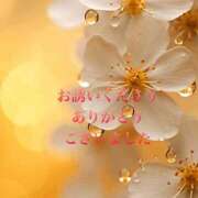 ヒメ日記 2024/12/11 14:06 投稿 香取 鶯谷人妻城