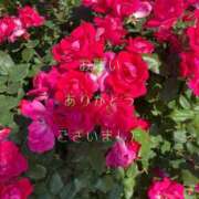 ヒメ日記 2024/12/26 21:55 投稿 香取 鶯谷人妻城