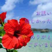 ヒメ日記 2025/01/16 14:47 投稿 香取 鶯谷人妻城