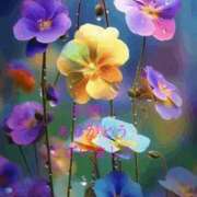 ヒメ日記 2025/01/18 20:24 投稿 香取 鶯谷人妻城