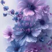 ヒメ日記 2025/03/08 13:45 投稿 香取 鶯谷人妻城