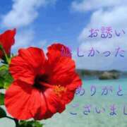 ヒメ日記 2025/03/23 22:40 投稿 香取 鶯谷人妻城