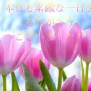 ヒメ日記 2025/05/11 17:44 投稿 香取 鶯谷人妻城