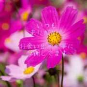 ヒメ日記 2025/05/12 20:54 投稿 香取 鶯谷人妻城