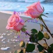 ヒメ日記 2025/05/23 19:43 投稿 香取 鶯谷人妻城