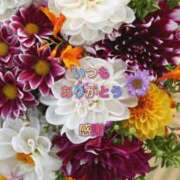 ヒメ日記 2025/06/12 14:25 投稿 香取 鶯谷人妻城