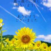 ヒメ日記 2025/07/29 00:27 投稿 香取 鶯谷人妻城