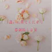 ヒメ日記 2025/09/02 13:11 投稿 香取 鶯谷人妻城