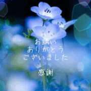 ヒメ日記 2025/09/11 23:26 投稿 香取 鶯谷人妻城