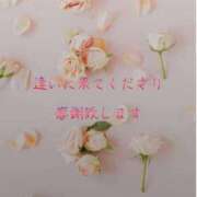 ヒメ日記 2025/10/17 00:07 投稿 香取 鶯谷人妻城