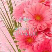 ヒメ日記 2025/10/22 13:05 投稿 香取 鶯谷人妻城