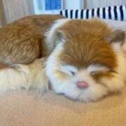 ヒメ日記 2025/12/24 13:59 投稿 香取 鶯谷人妻城