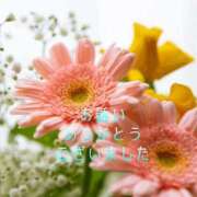 香取 27日の御礼 鶯谷人妻城