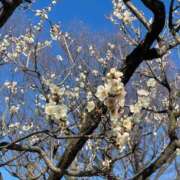 ヒメ日記 2026/01/23 14:00 投稿 香取 鶯谷人妻城