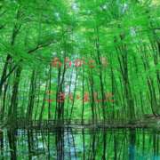 ヒメ日記 2026/04/14 14:01 投稿 香取 鶯谷人妻城