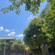 ヒメ日記 2026/05/11 12:49 投稿 香取 鶯谷人妻城