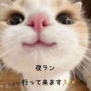 ヒメ日記 2026/07/29 21:10 投稿 香取 鶯谷人妻城