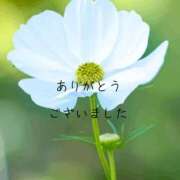 ヒメ日記 2026/09/21 15:38 投稿 香取 鶯谷人妻城