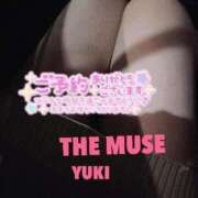ヒメ日記 2023/12/08 19:55 投稿 Yuki THE MUSE