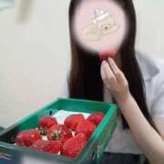 ヒメ日記 2025/03/16 11:20 投稿 ひめの 電車ごっこ