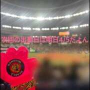 ヒメ日記 2025/04/04 09:54 投稿 ひめの 電車ごっこ