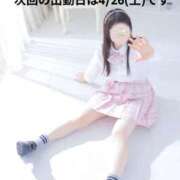 ヒメ日記 2025/04/21 10:40 投稿 ひめの 電車ごっこ