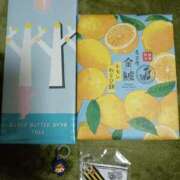 ヒメ日記 2025/07/02 07:53 投稿 ひめの 電車ごっこ